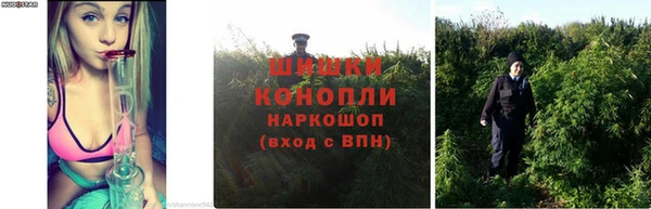 хмурый Майский