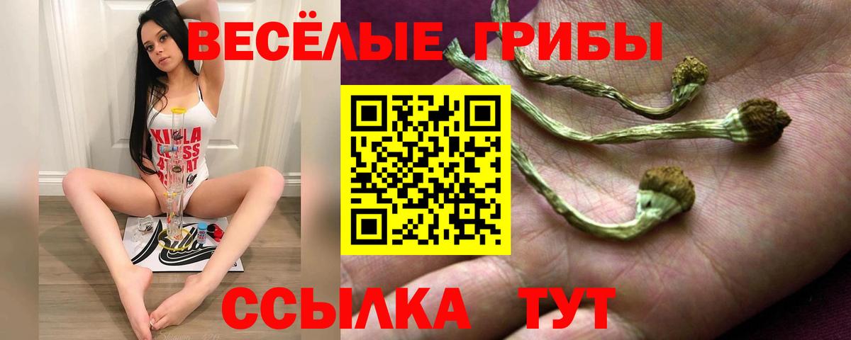 Галлюциногенные грибы Magic Shrooms  Галлюциногенные грибы MAGIC MUSHROOMS  Вход с VPN  Нефтекамск 