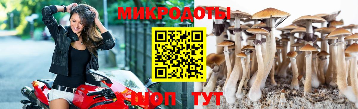 Галлюциногенные грибы MAGIC MUSHROOMS Нефтекамск